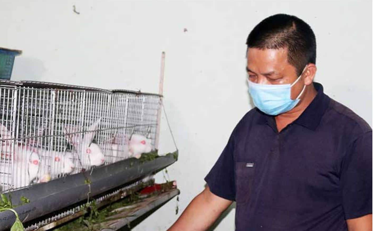 Anh Quang chăm sóc đàn thỏ